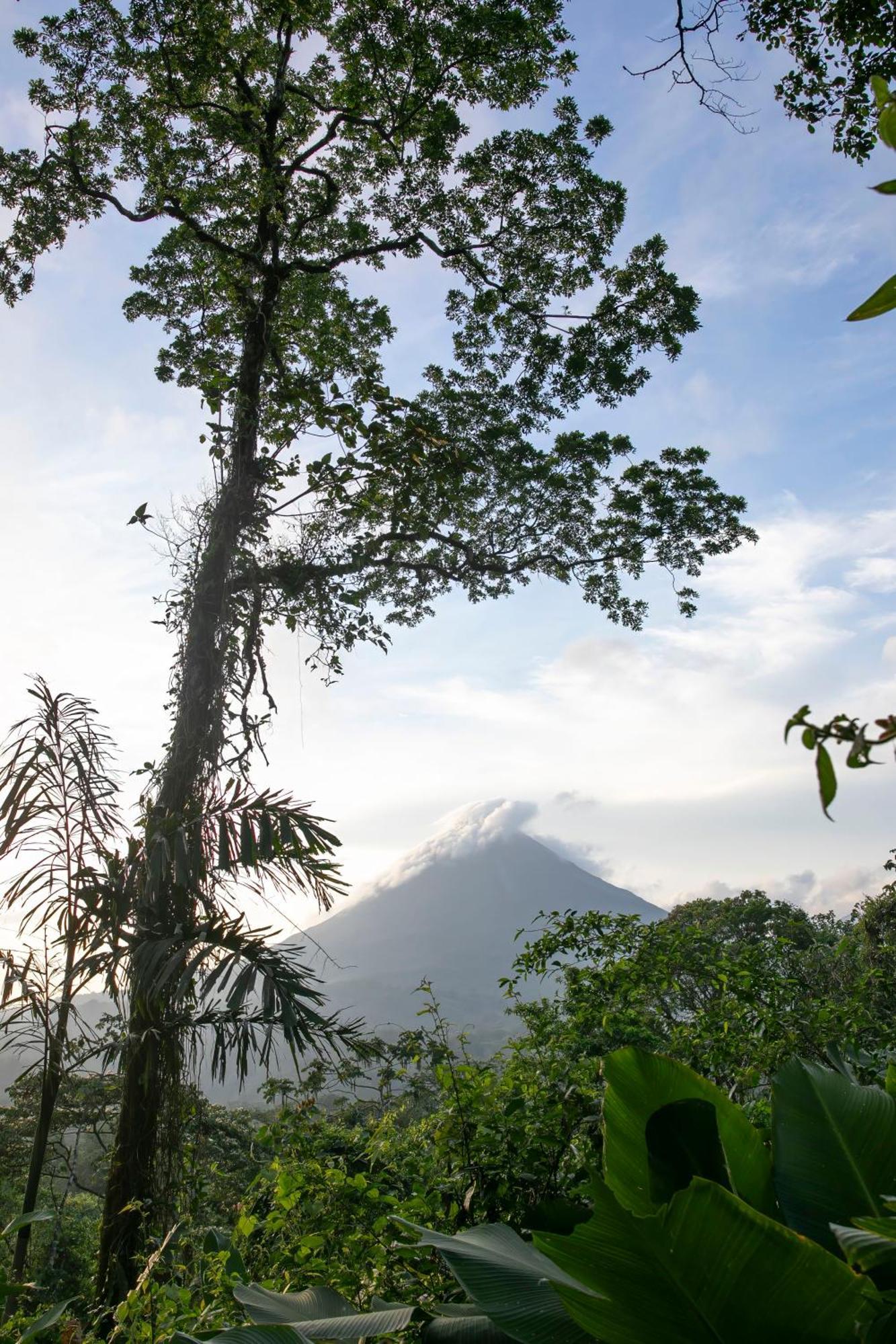 Sangregado Lodge La Fortuna Exteriör bild