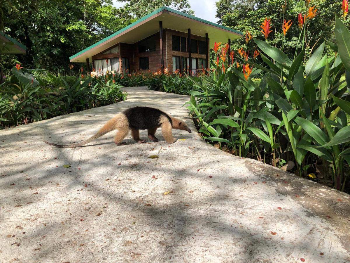 Sangregado Lodge La Fortuna Exteriör bild